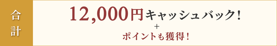 合計12,000円キャッシュバック！+ポイントも獲得！