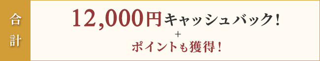 合計12,000円キャッシュバック！+ポイントも獲得！