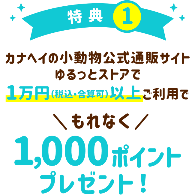 特典1:カナヘイの小動物公式通販サイトゆるっとストアで1万円（税込・合算可）以上ご利用でもれなく1,000ポイントプレゼント！