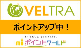 『VELTRA(ベルトラ)』ポイント6倍!