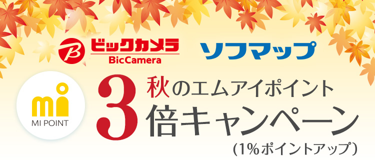 前置詞 再開 気づく ビックカメラ ソフマップ カード Aguasdelbosque Com