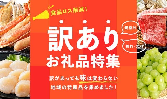 ふるさと納税サイト さとふる【訳ありお礼品特集】