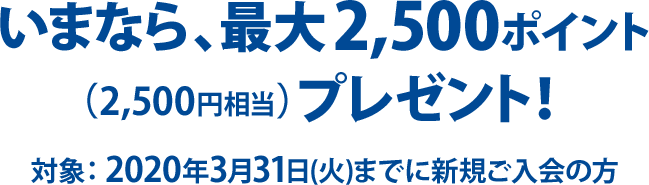 いまなら、最大1,000ポイント(1,000円相当)プレゼント! 期間:2020年3月31日(火)まで
